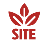 Site Maintenance - White - No Tagline